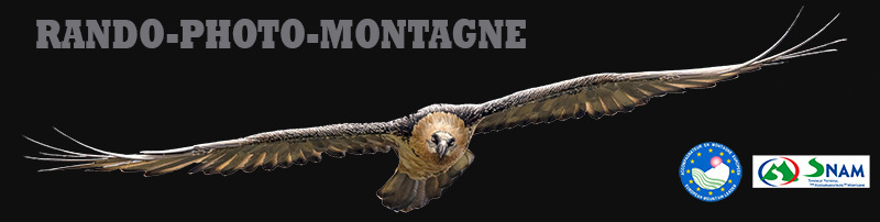 Logo du site rando photo montagne